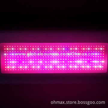 High-power 1200W LED grow lights, full color system, for medicinal plants, CE/FCC certified, RoHS